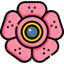 rafflesia icon