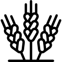 호밀 