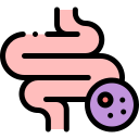 intestino icon