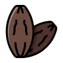 kurma icon