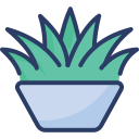 maceta icon