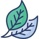 plantas icon