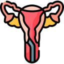 endometrial icon