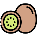 kiwi icon