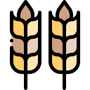 trigo icon