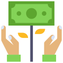 dinero icon