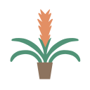 bromelia icon