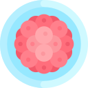 cigoto icon