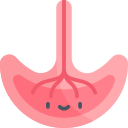placenta icoon