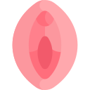 vagina icoon