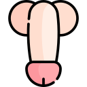 penis icon