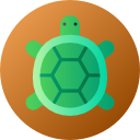 tortuga