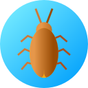 cucaracha icon