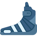 botas icon