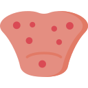 lengua icon