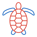 tortuga icon