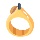 anillo icon