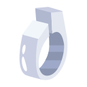 anillo icon