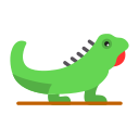 iguana icon