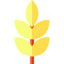 trigo icon