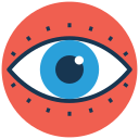 ojo icon