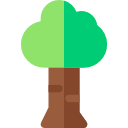 Árbol 