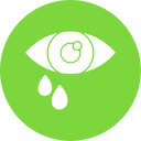 ojo icon