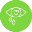 ojo icon