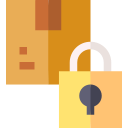 seguridad icon