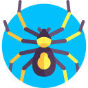 araña icon