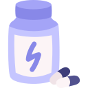 Supplement 