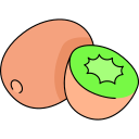 kiwi icon