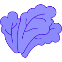 lechuga icon