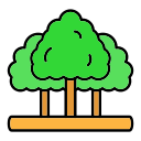 naturaleza icon