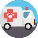 ambulancia icon