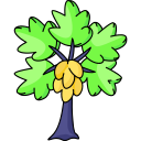 papaya icon