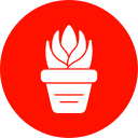 aloe vera icon