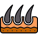 haar 