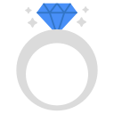 anillo icon