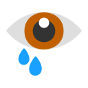 ojo icon