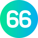 66