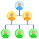 estructura de organización