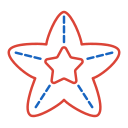 estrella de mar icon