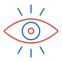 ojo icon