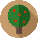 árbol de manzana icon