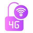 4g