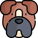 boxer icon