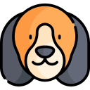 beagle icon