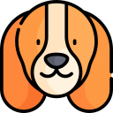 basset hound icon