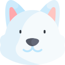 samoyedo